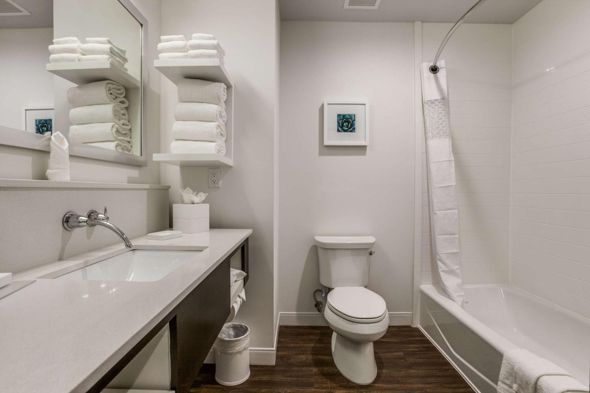 Hampton Inn & Suites Dallas-Central Expy/North Park Area Exteriör bild